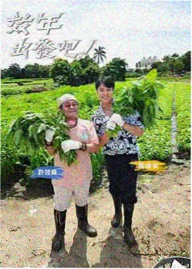 梦想的声音